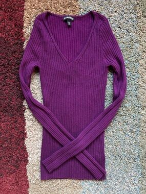 Express Plum Ribbed V-Neck Sweater XXS Fitted Stretch Long Sleeve